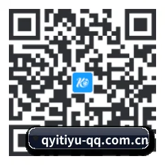 iOS 苹果生态原生版 二维码