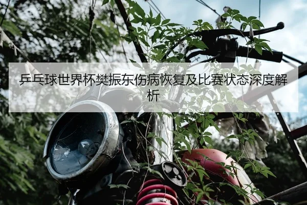 乒乓球世界杯樊振东伤病恢复及比赛状态深度解析